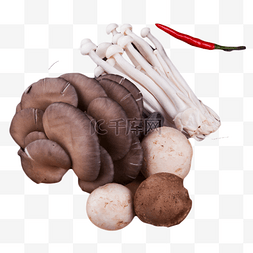 大平菇圆香菇细细的金针菇