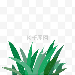 弯曲植物图片_绿色植物灌木叶子元素