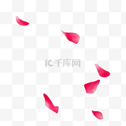 粉红花瓣漂浮飘落不规则装饰