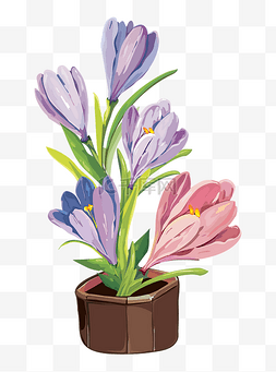 紫色花盆栽png图片_现代花朵紫色盆栽