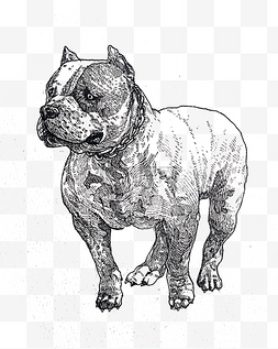 黑白线条手绘小狗装饰图