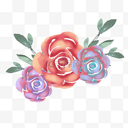 水彩玫瑰花朵