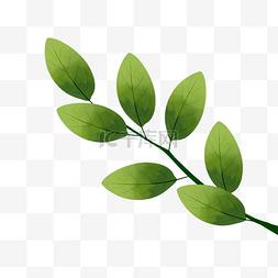 绿色植物叶片图片_绿色植物叶子手绘橘子叶透明底免