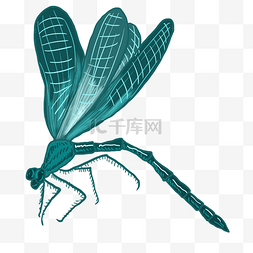 绿色夏季昆虫蜻蜓