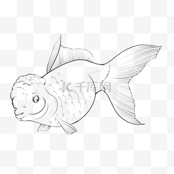金鱼图案线描纹身