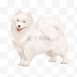 动物北极熊图片_北极熊的狗狗插画