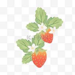 采摘园鲜草莓