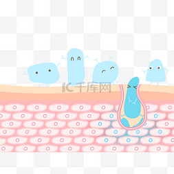 老人烧饭卡通图片_皮肤吸收