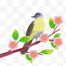 春季水彩花鸟