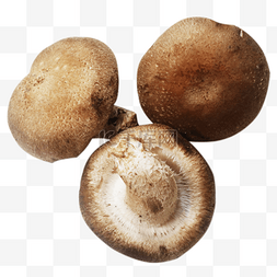 蔬菜菇类图片_三个香菇