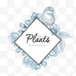 线条植物素描边框