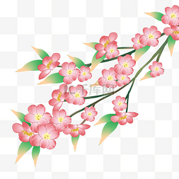 国风粉色桃花