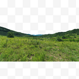 坝上图片_广阔的林地翠绿的草原