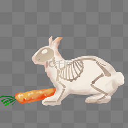 兔子萝卜骨骼结构