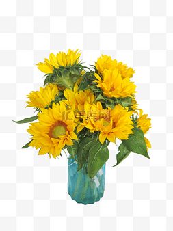 向日葵花朵图片_向日葵花朵花瓶