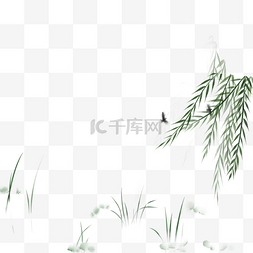 杨柳水草