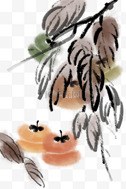 水墨 霜降果实柿子