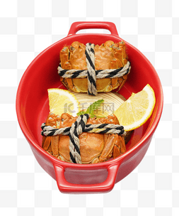 红色小锅螃蟹