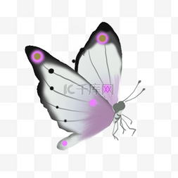 创意蝴蝶插画图片_粉色飞舞的蝴蝶元素