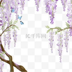 紫色花朵插画图片_紫色植物花朵插画