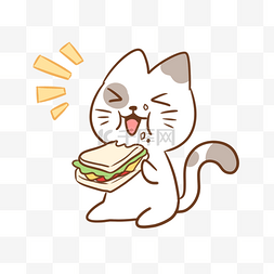 吃三明治的猫咪