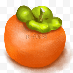 圆形的柿子