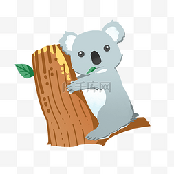 澳洲原装图片_考拉树袋熊动物