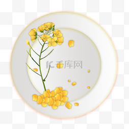 中式中式图片_油菜花踏春花季油菜花盘子