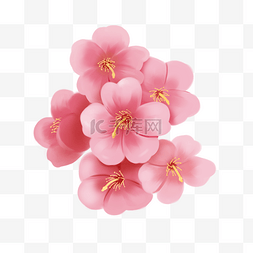 春天花卉粉色图片_粉色桃花花朵