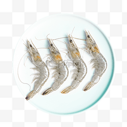 白盘图片_俯视图海鲜产品白盘海鲜虾