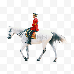 马来西亚的骑白马的骑士