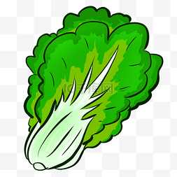 卡通蔬菜手绘图片_原生态自然大白菜绿色清新卡通手