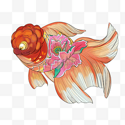 金鱼插画图片_游泳的金鱼插画