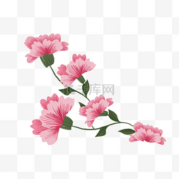 粉色花朵刺绣