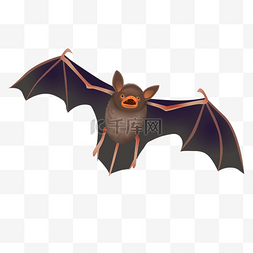 抗击冠状病毒图片_新型冠状病毒蝙蝠