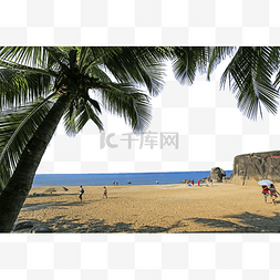 夏天海南岛沙滩椰树旅游