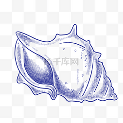 蓝色复古线描海螺