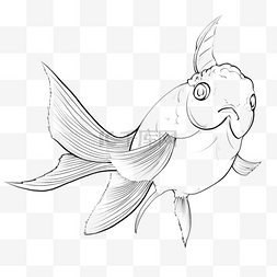 线描金鱼图片_线描金鱼图案纹身