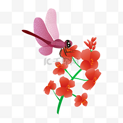 红色花朵蜻蜓