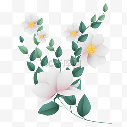 立体白色花朵
