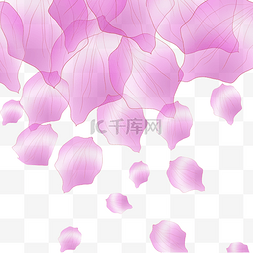 散落粉色花瓣