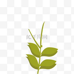 树枝叶图片_绿色的植物叶子免抠图