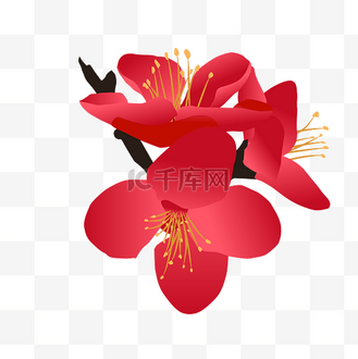 西府海棠图片_西府海棠素材-西府海棠图片大全-千库网