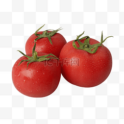 新鲜的番茄西红柿蔬菜水果