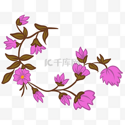 绽放紫色花朵花藤