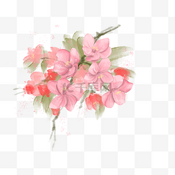 红色花朵植物图片_春季粉色海棠花水彩手绘免抠PNG