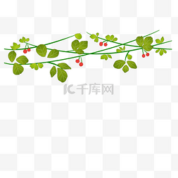 藤蔓枝条免抠素材图片_绿色藤蔓红色果子点缀免抠插图