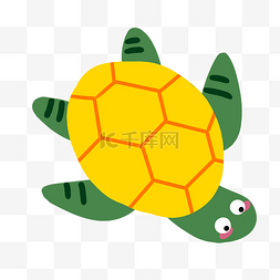 海洋动物海龟乌龟