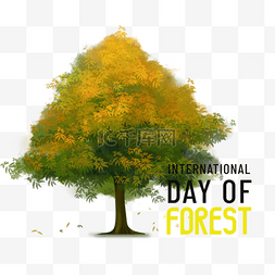 国际森林日一棵树森林节日