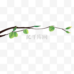 绿色植物发芽图片_绿色植物叶子元素